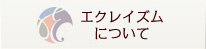 エクレイムズについて